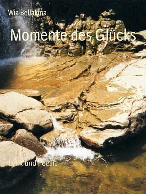 cover image of Momente des Glücks